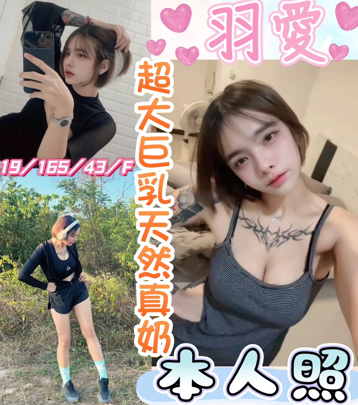 羽愛